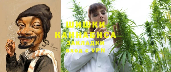 ГАЛЛЮЦИНОГЕННЫЕ ГРИБЫ Заводоуковск