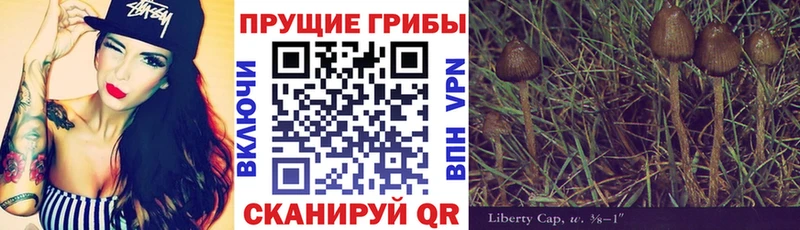 Псилоцибиновые грибы прущие грибы  Подольск 