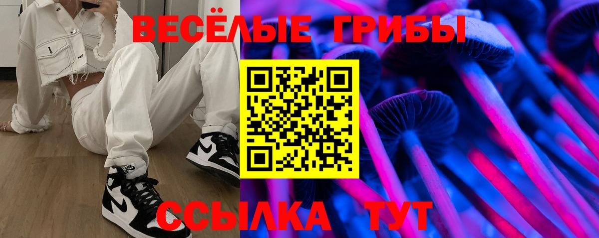 Псилоцибиновые грибы Psilocybine cubensis  Вход с VPN  Подольск 